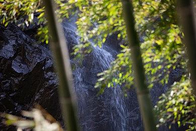 Epic喜加三：《红视》《掠食》《巨人约顿》免费领